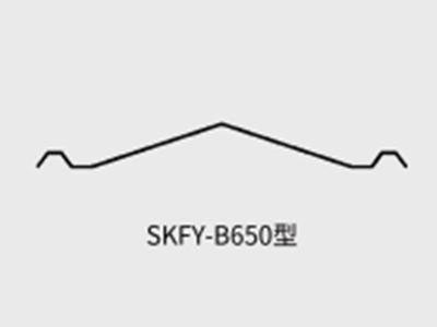 SKFY-B650 SKFY-B650